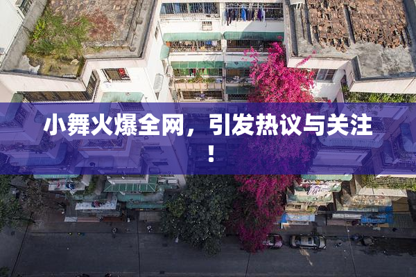 小舞火爆全网，引发热议与关注！