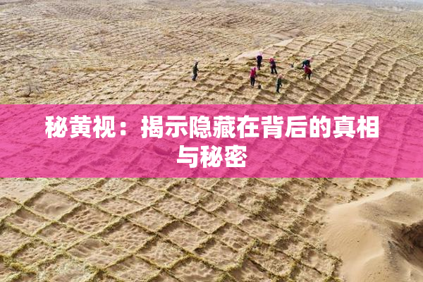 秘黄视：揭示隐藏在背后的真相与秘密