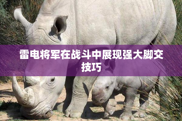雷电将军在战斗中展现强大脚交技巧