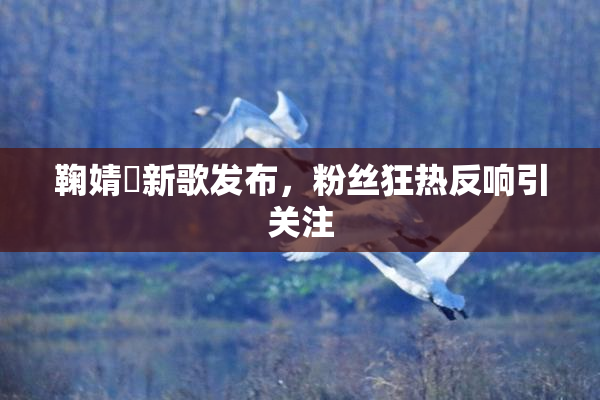 鞠婧祎新歌发布，粉丝狂热反响引关注