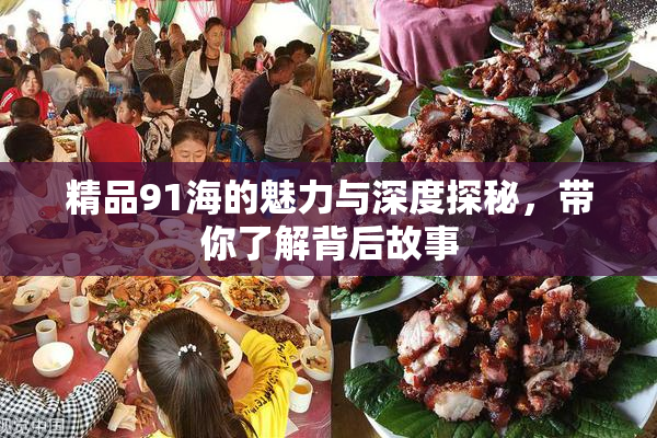 精品91海的魅力与深度探秘，带你了解背后故事