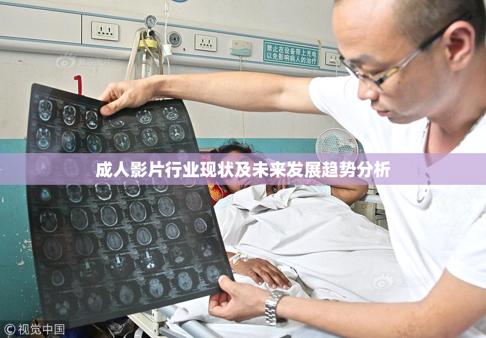 成人影片行业现状及未来发展趋势分析