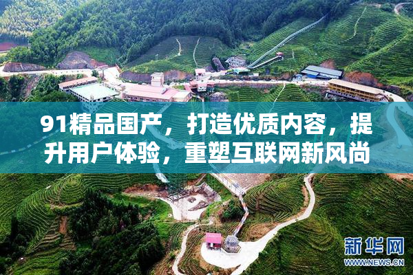 91精品国产，打造优质内容，提升用户体验，重塑互联网新风尚。