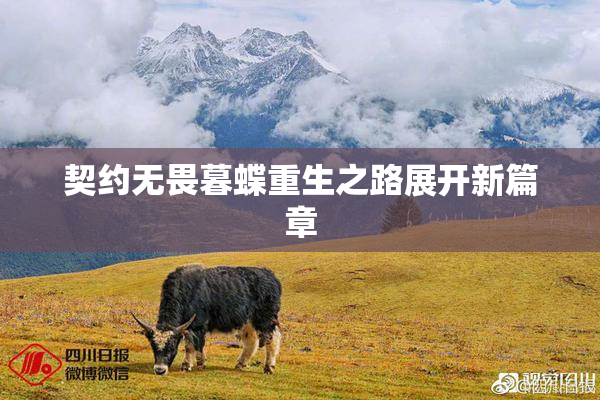 契约无畏暮蝶重生之路展开新篇章