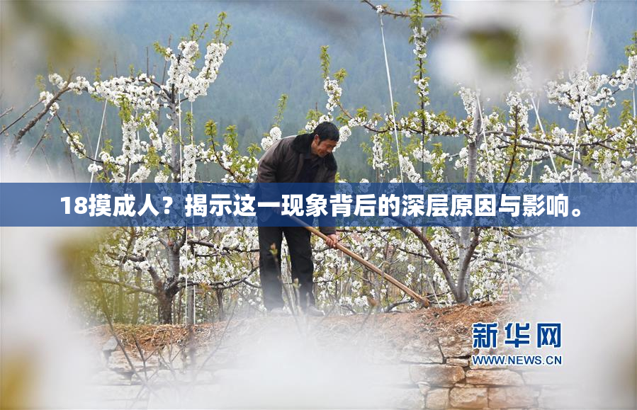 18摸成人？揭示这一现象背后的深层原因与影响。