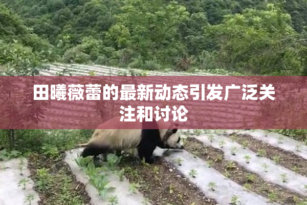 田曦薇蕾的最新动态引发广泛关注和讨论