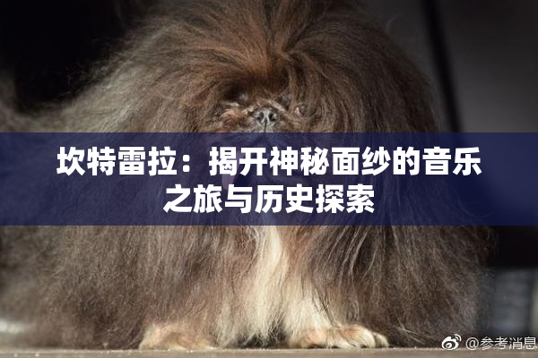 坎特雷拉：揭开神秘面纱的音乐之旅与历史探索