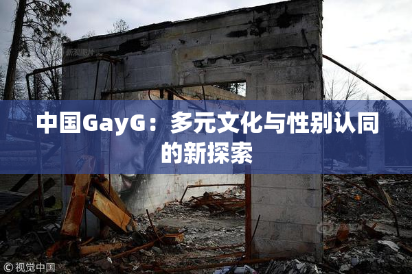 中国GayG：多元文化与性别认同的新探索