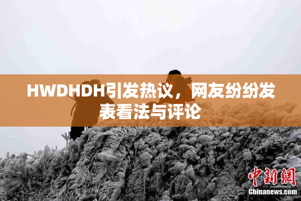 HWDHDH引发热议，网友纷纷发表看法与评论