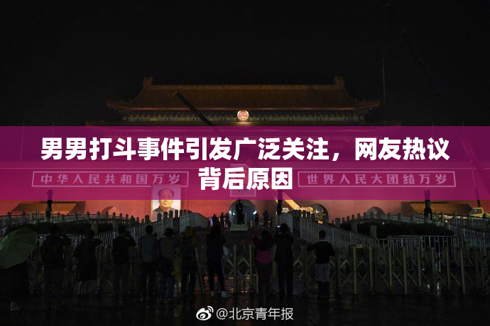 男男打斗事件引发广泛关注，网友热议背后原因