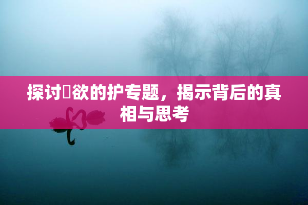 探讨婬欲的护专题，揭示背后的真相与思考