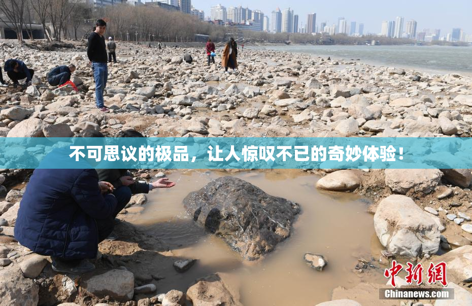 不可思议的极品，让人惊叹不已的奇妙体验！