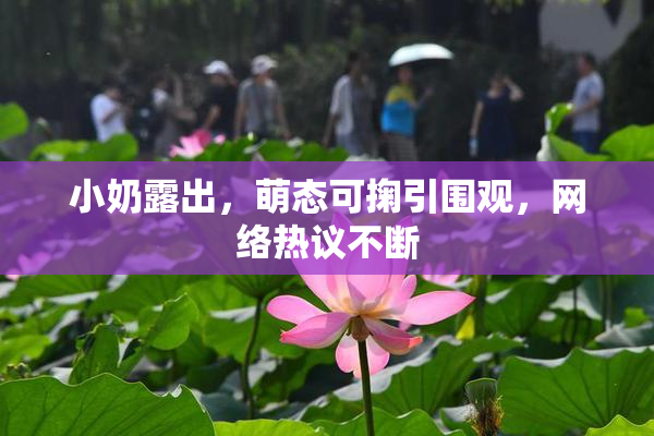 小奶露出，萌态可掬引围观，网络热议不断