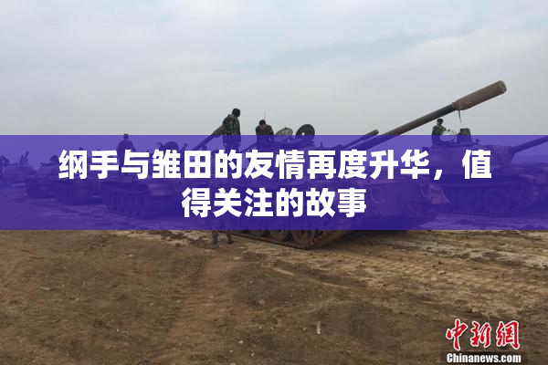 纲手与雏田的友情再度升华，值得关注的故事