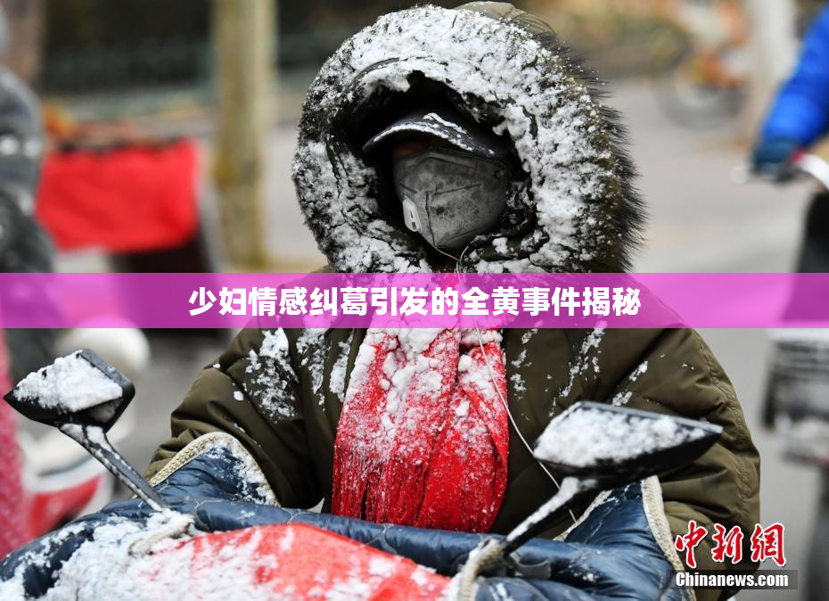 少妇情感纠葛引发的全黄事件揭秘