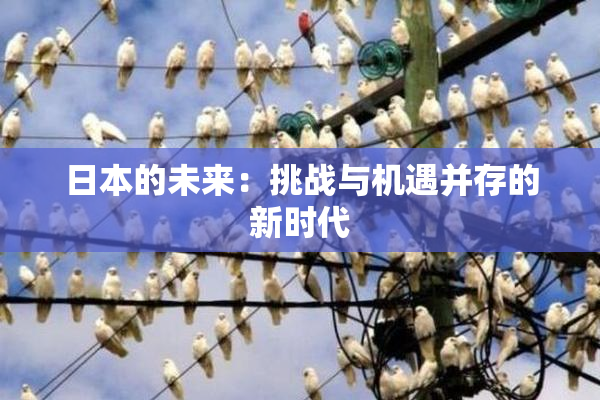 日本的未来：挑战与机遇并存的新时代