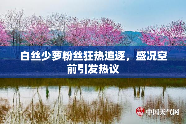 白丝少萝粉丝狂热追逐，盛况空前引发热议