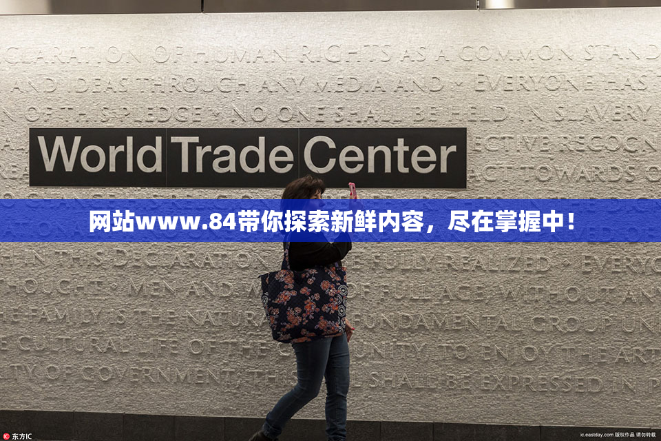 网站www.84带你探索新鲜内容，尽在掌握中！