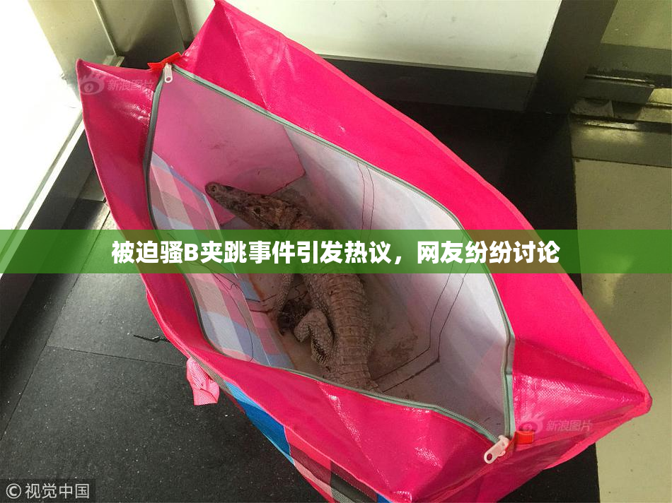 被迫骚B夹跳事件引发热议，网友纷纷讨论