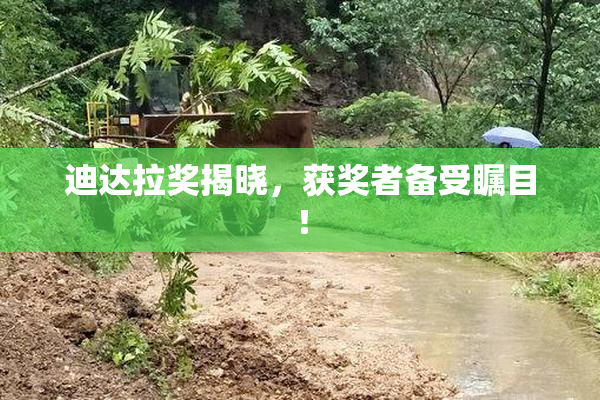 迪达拉奖揭晓，获奖者备受瞩目！