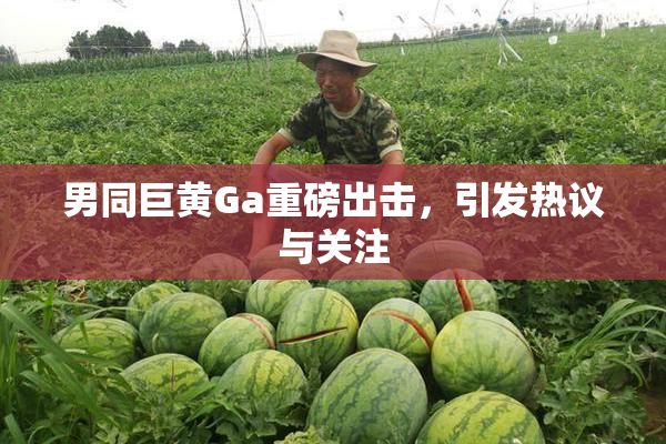 男同巨黄Ga重磅出击，引发热议与关注