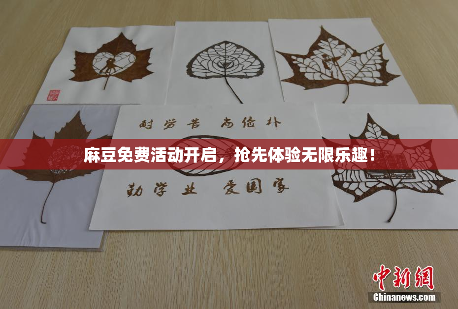 麻豆免费活动开启，抢先体验无限乐趣！