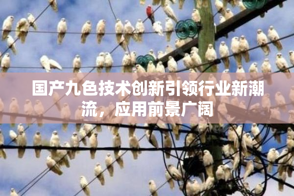 国产九色技术创新引领行业新潮流，应用前景广阔
