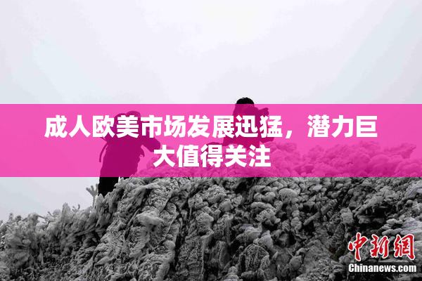 成人欧美市场发展迅猛，潜力巨大值得关注