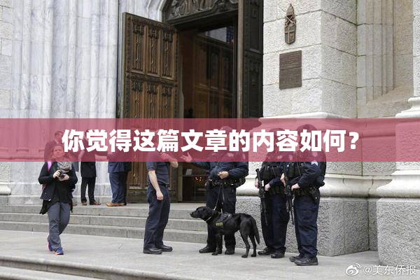 你觉得这篇文章的内容如何？