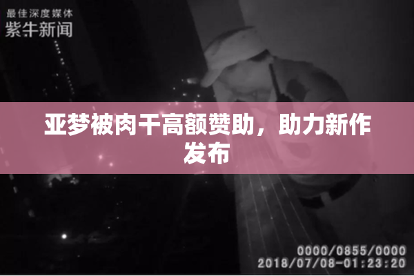 亚梦被肉干高额赞助，助力新作发布