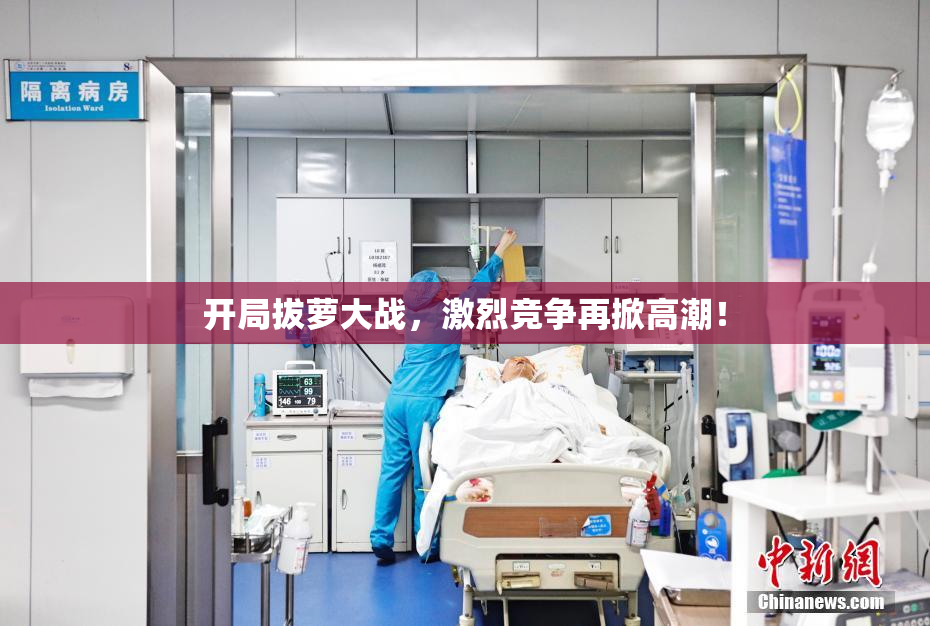 开局拔萝大战，激烈竞争再掀高潮！