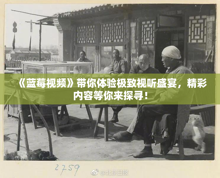 《蓝莓视频》带你体验极致视听盛宴，精彩内容等你来探寻！