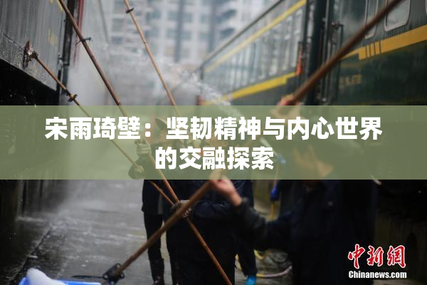宋雨琦壁：坚韧精神与内心世界的交融探索