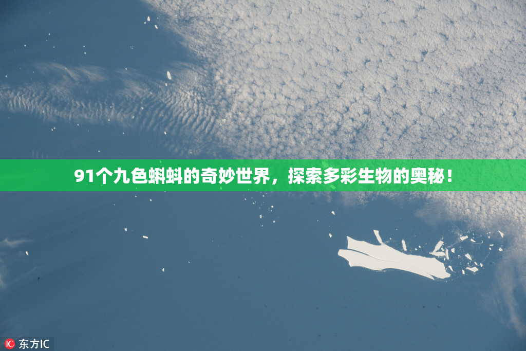 91个九色蝌蚪的奇妙世界，探索多彩生物的奥秘！