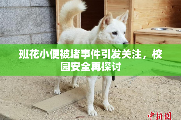 班花小便被堵事件引发关注，校园安全再探讨