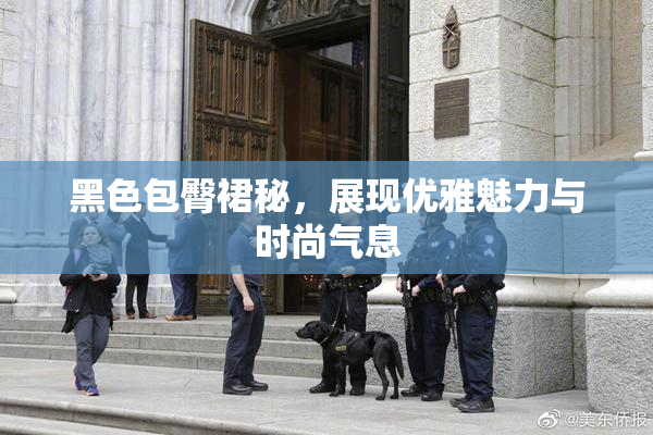 黑色包臀裙秘，展现优雅魅力与时尚气息