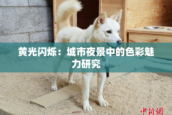 黄光闪烁：城市夜景中的色彩魅力研究
