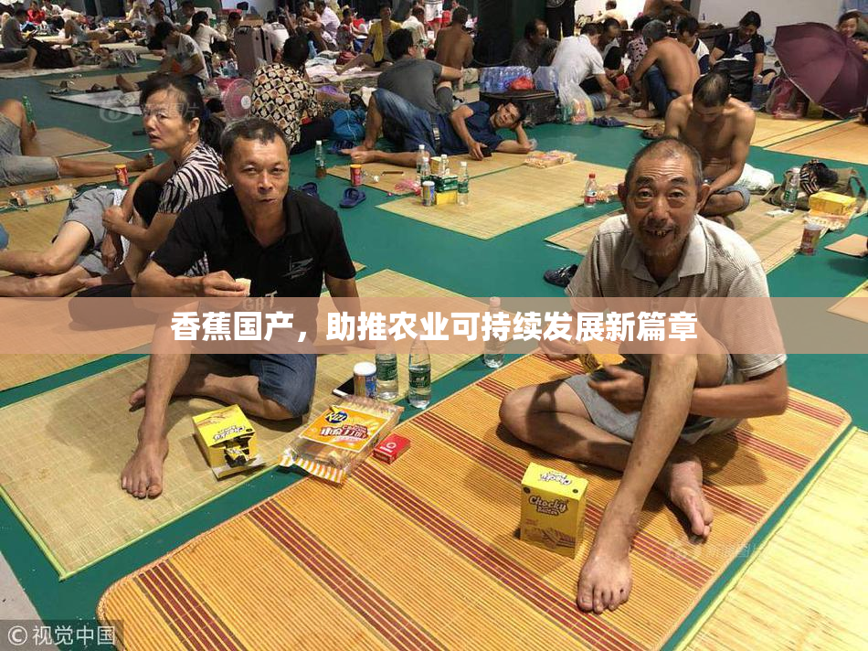 香蕉国产，助推农业可持续发展新篇章