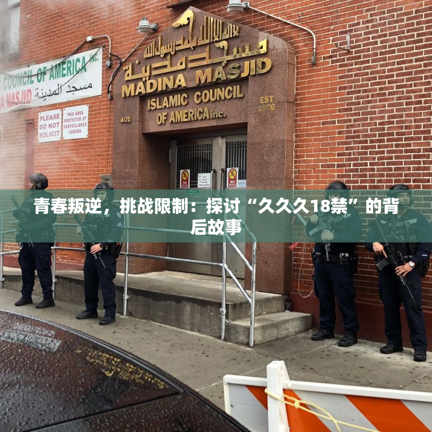青春叛逆，挑战限制：探讨“久久久18禁”的背后故事