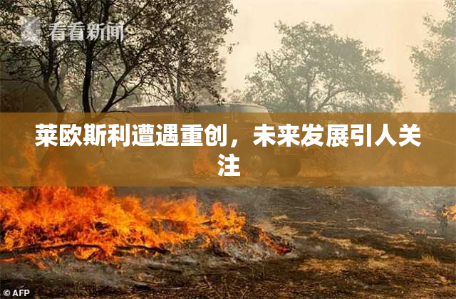 莱欧斯利遭遇重创，未来发展引人关注