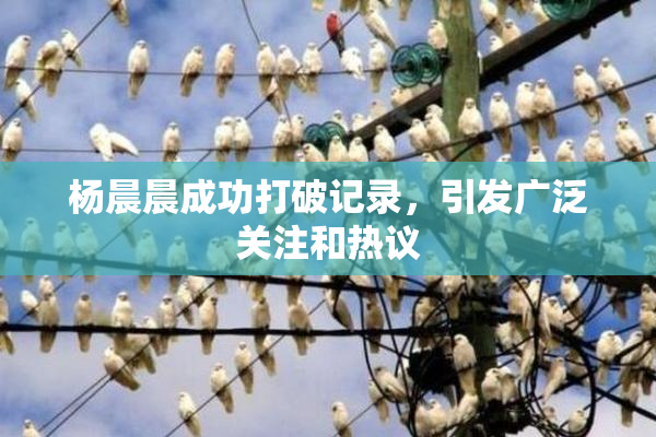 杨晨晨成功打破记录，引发广泛关注和热议