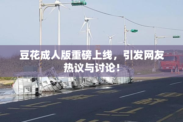 豆花成人版重磅上线，引发网友热议与讨论！