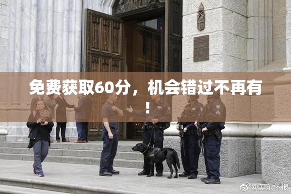 免费获取60分，机会错过不再有！