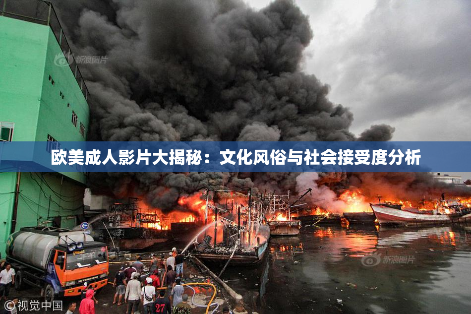 欧美成人影片大揭秘：文化风俗与社会接受度分析