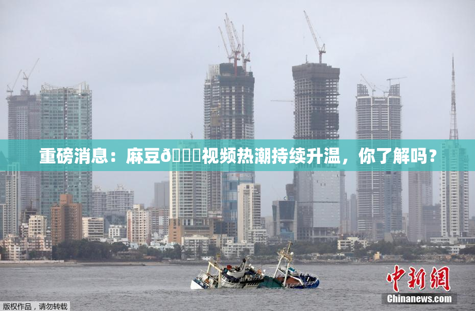 重磅消息：麻豆🔞视频热潮持续升温，你了解吗？