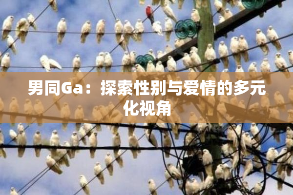 男同Ga：探索性别与爱情的多元化视角