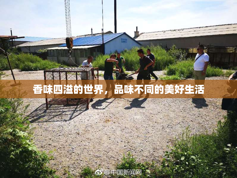 香味四溢的世界，品味不同的美好生活