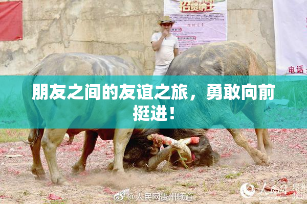 朋友之间的友谊之旅，勇敢向前挺进！