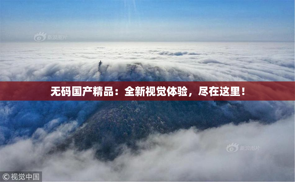 无码国产精品：全新视觉体验，尽在这里！