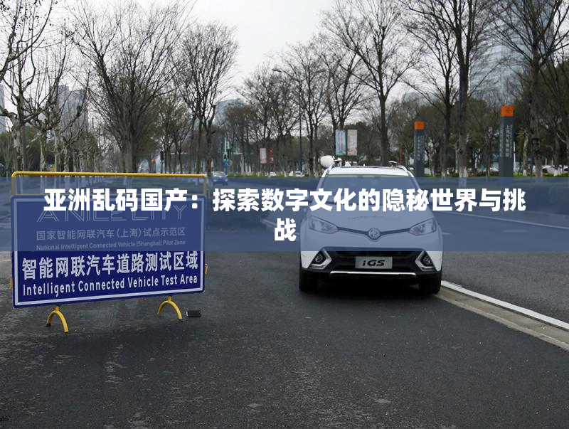 亚洲乱码国产：探索数字文化的隐秘世界与挑战